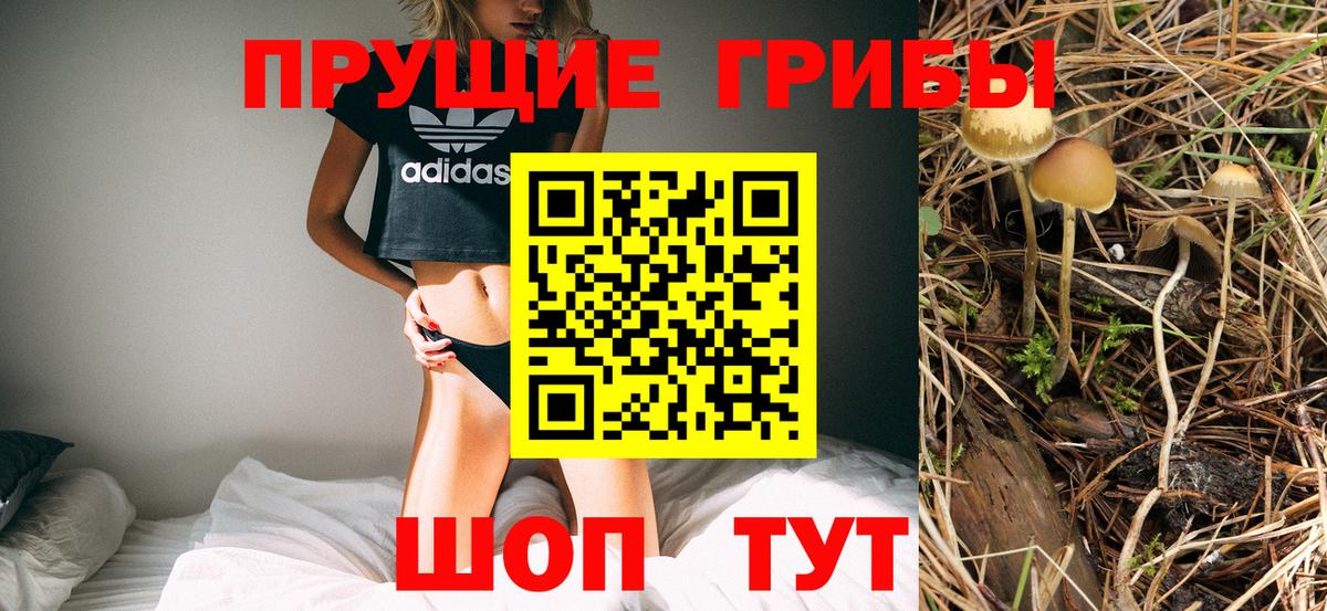 Псилоцибиновые грибы Psilocybe  Вход с VPN  Обь 